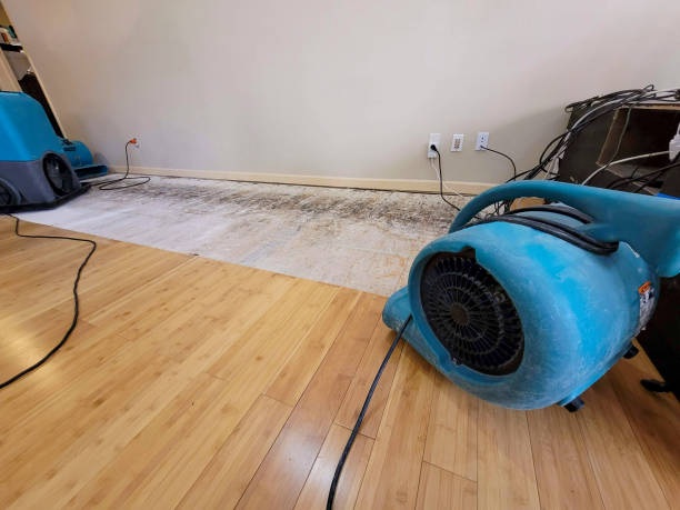 Professional Burst Pipe Water Damage technician working in Whiteside, TN